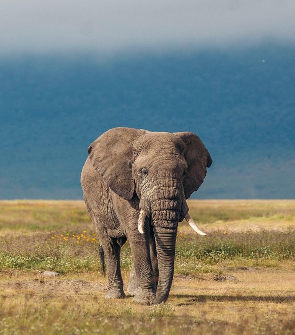 TANZANIA
